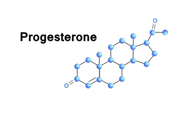 Что такое прогестерон