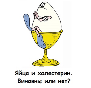 Холестерин в яйцах куриных,повышают ли яйца холестерин,яйца и холестерин новые исследования,яйца холестерин миф