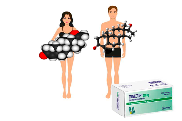 Стимуляция выработки стероидных гормонов Трибестаном у женщин и мужчин