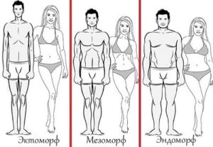 Типы телосложения: Мезоморф, Эктоморф, Эндоморф. Как определить?
