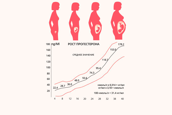 График уровня прогестерона в период беременности