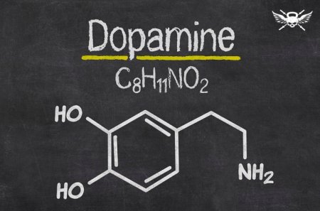 Дофамин: простыми словами о том, почему мы хотим сладкое / мучное / алкоголь / сигарету