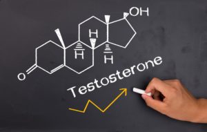 Тестостерон у женщин значение