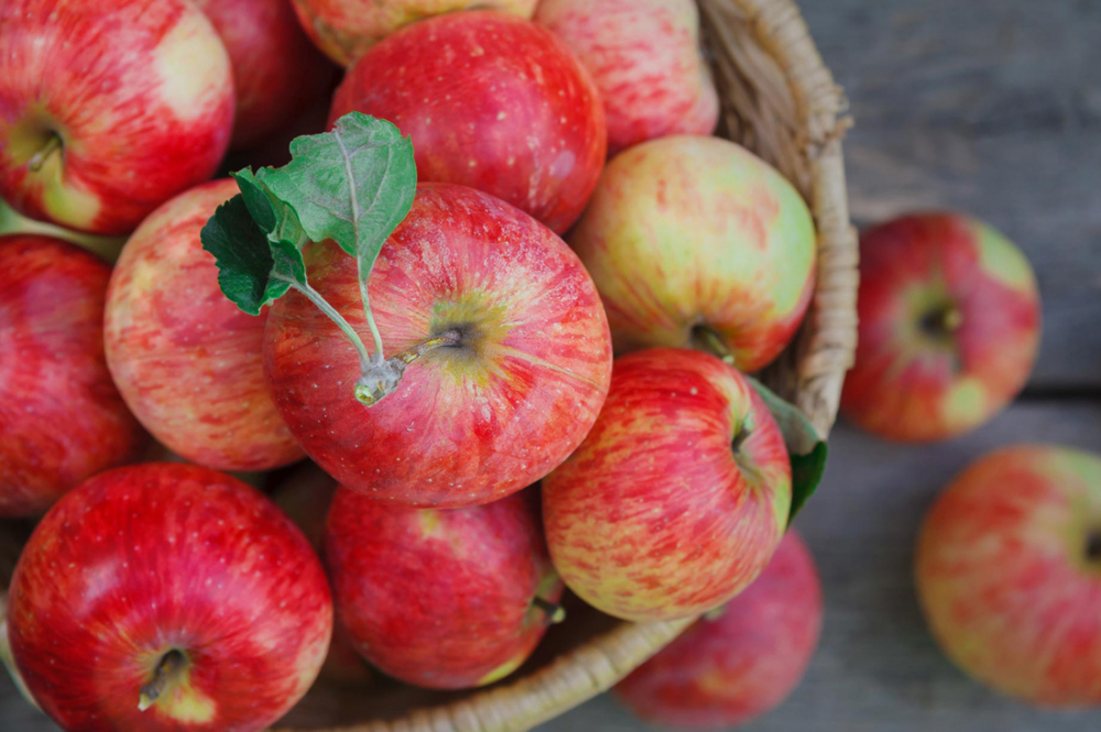 В Индонезии по достоинству оценили украинские яблоки (ФОТО)