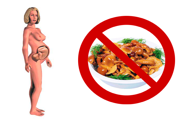 Запрет на употребление маринованных грибов при беременности