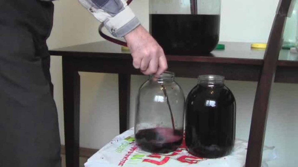 Как поставить свое вино из винограда. Секреты домашнего виноделия