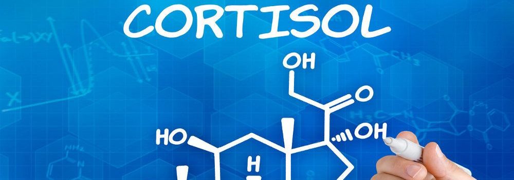 Общее понятие о кортизоле