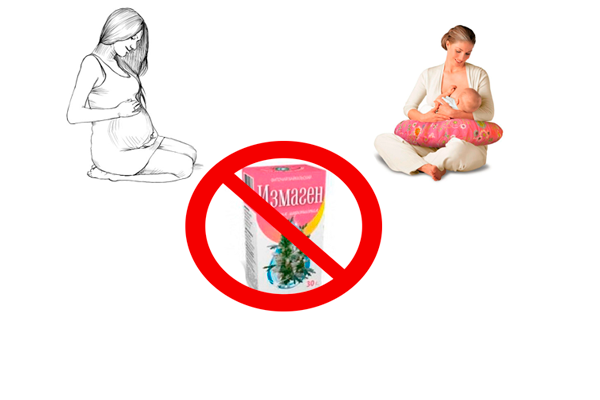 Запрет на употребление травы измагена во время беременности и при грудном вскармливании