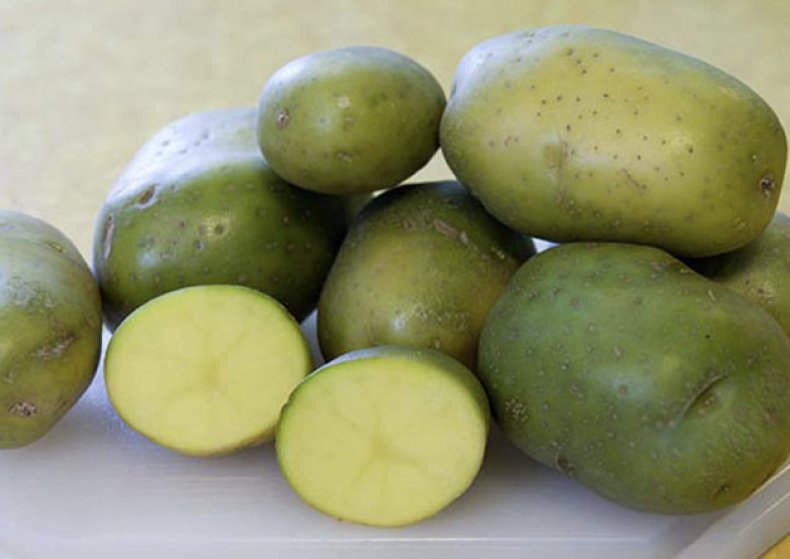Зеленая картошка: можно ли ее кушать, чем опасна, соланин и его вред