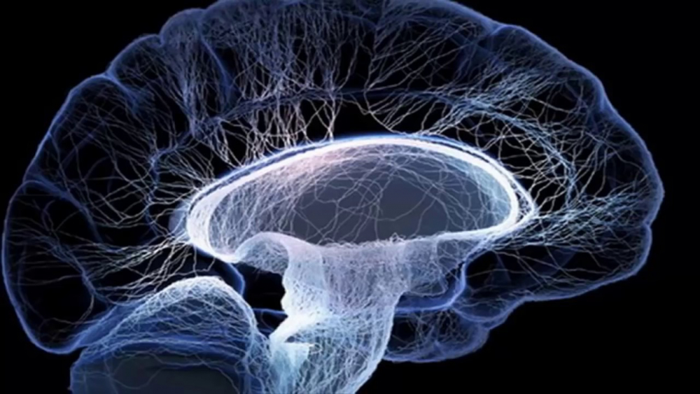Очищение сосудов мозга: уникальные методики - YouTube