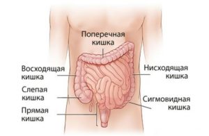 симптомы болезни кишечника
