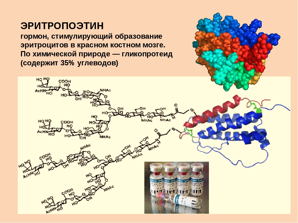 Эритропоэтин что это. Эритропоэтин биохимия формула. Рекомбинантный человеческий эритропоэтин. Эритропоэтин структура функции. Структура эритропоэтина.