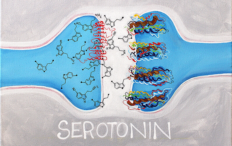 Серотонин — что это