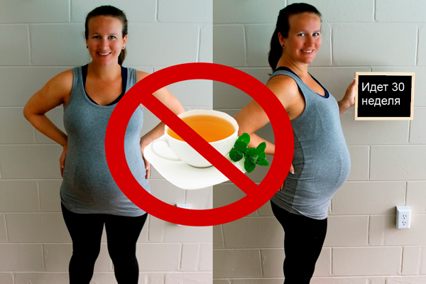 Запрет на употребление мятного чая после 30-й недели беременности