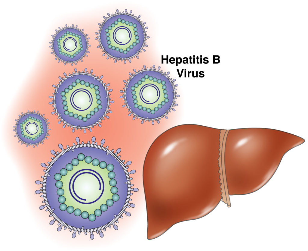Причины гепатита С