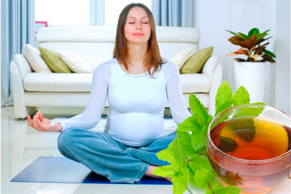 Обеспечение спокойного состояния принимая отвар мяты на первом триместре беременности