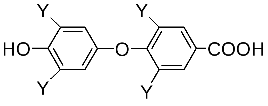 Связанный тироксин