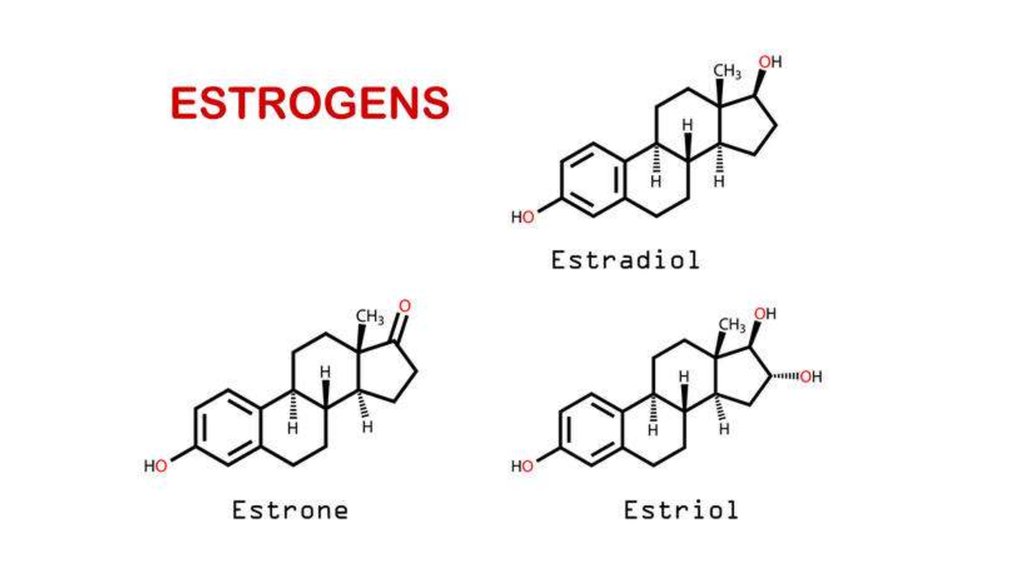 Концентрация эстрогенов