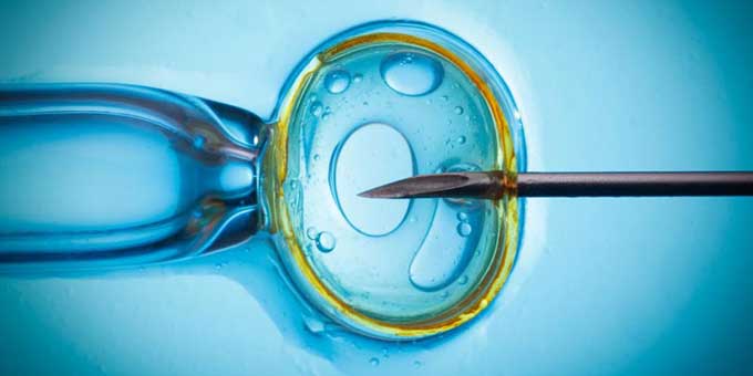 криоперенос эмбрионов