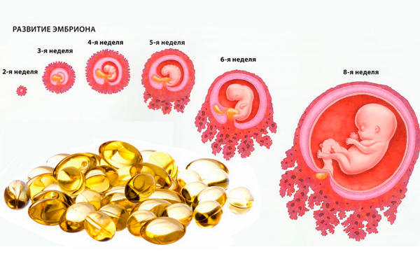 Влияние витамина Омега 3 на развитие плода во утробе