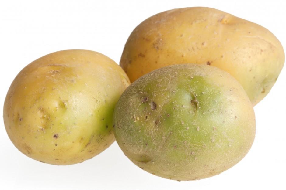 картофель позеленел можно ли его есть