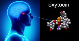 окситоцин вырабатывается