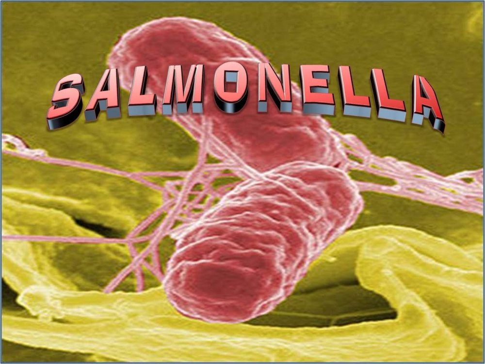 Признаки сальмонеллеза у детей: симптомы, лечение и последствия
