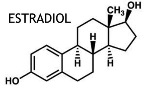 молекулярная формула эстрадиола