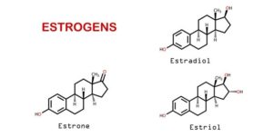 Значение эстрогенов
