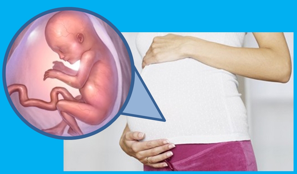 полисорб при беременности на ранних сроках