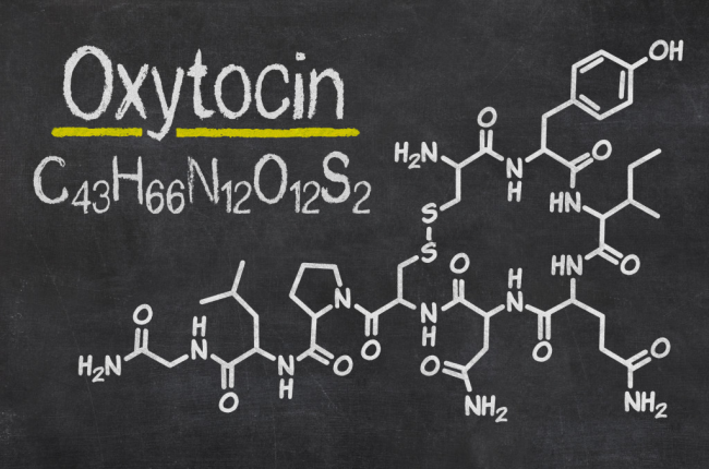 Функции гормона окситоцина