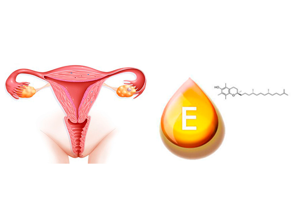 Полезное воздействие витамина Е на репродуктивное здоровье женщины