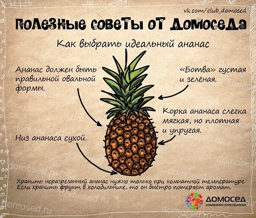 Бромелайн: экстракт ананаса для похудения - стоит ли тратить деньги?