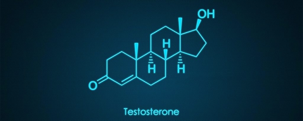 анализ на тестостерон что это такое