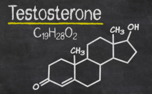 Тестостерон — гормон