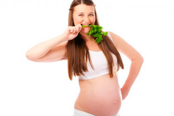 Употребление петрушки в период беременности