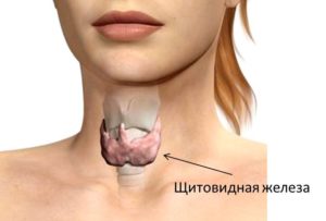 Нарушения щитовидной железы