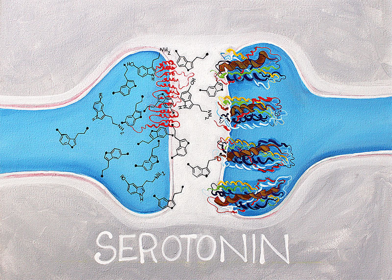 Препараты содержащие серотонин