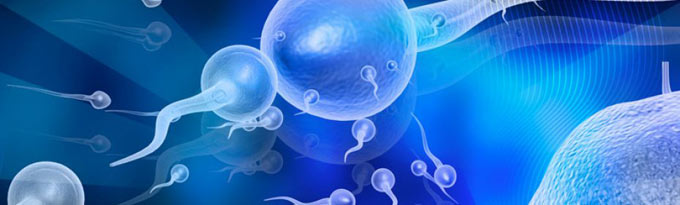 анализ на антиспермальные антитела