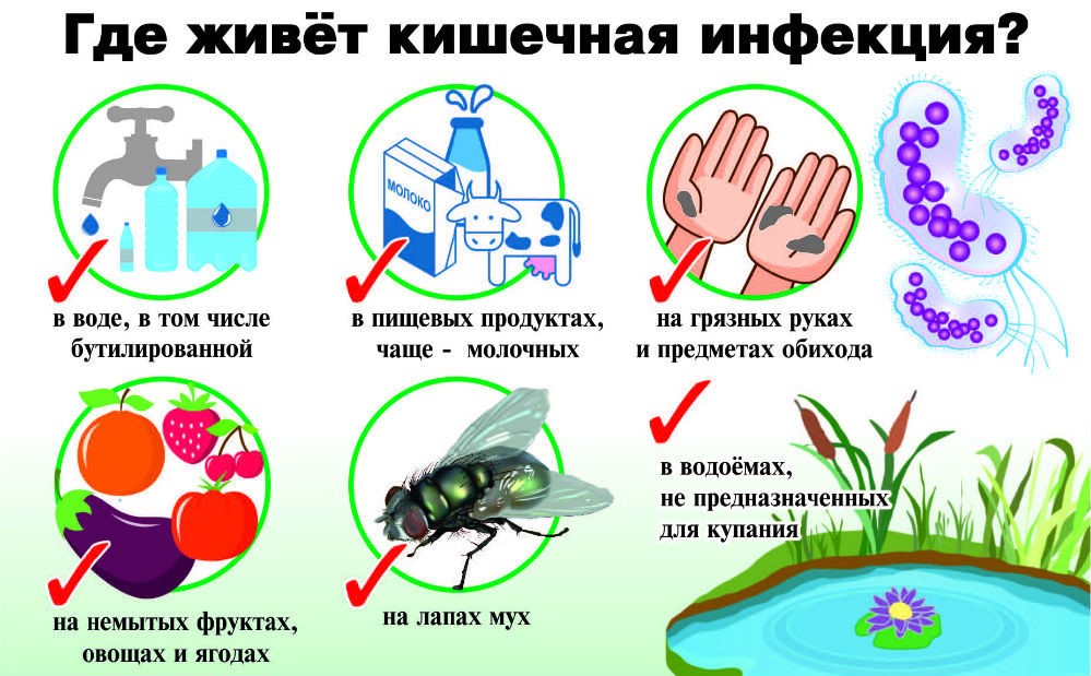 Кишечная инфекция - самое массовое летнее заболевание в Крыму ...