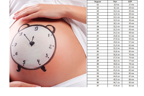 Нормы БПР в зависимости от недели беременности