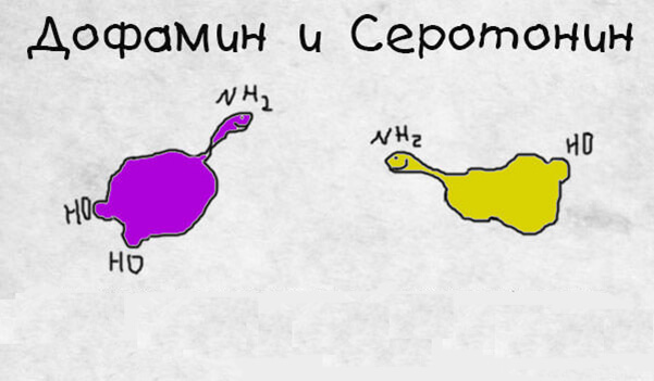 Серотонин и дофамин в чем разница и как определить их уровень .