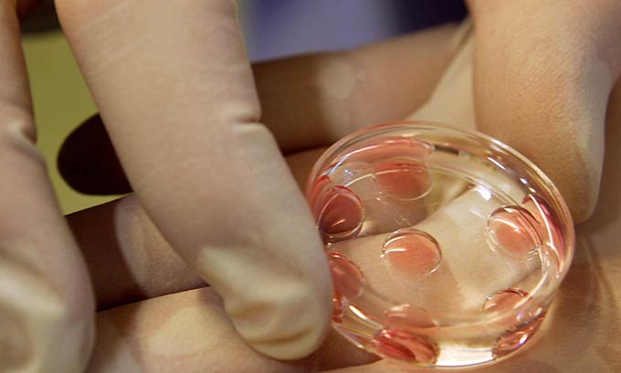 эмбрионы - биоматериал