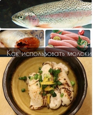Молоки лососевых рыб: 8 пп рецептов приготовления - как превратить обычный субпродукт в изысканное, но полезное блюдо