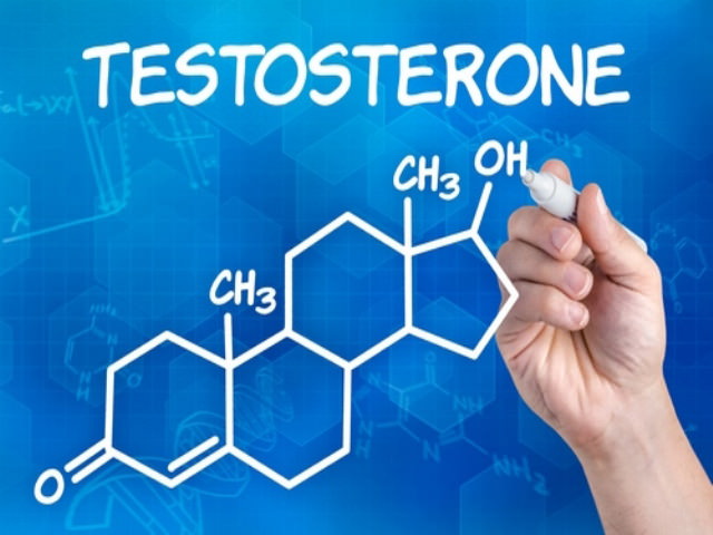 Тестостерон является важным гормональным веществом